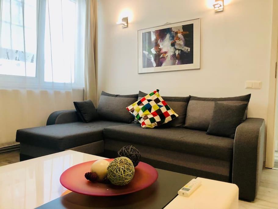 Joy City Stay Colonel Enescu 16 Тимишоара Экстерьер фото